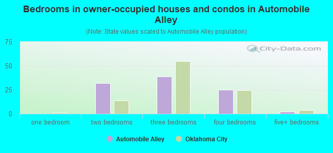 Bedrooms in owner-occupied houses and condos in Automobile Alley