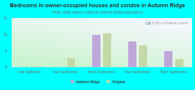 Bedrooms in owner-occupied houses and condos in Autumn Ridge