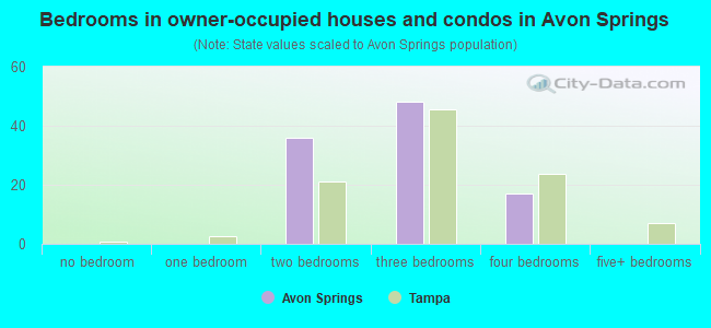 Bedrooms in owner-occupied houses and condos in Avon Springs