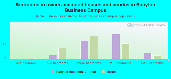 Bedrooms in owner-occupied houses and condos in Babylon Business Campus