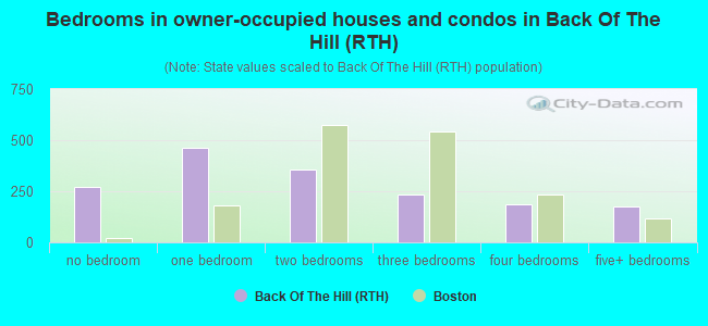 Bedrooms in owner-occupied houses and condos in Back Of The Hill (RTH)