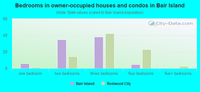 Bedrooms in owner-occupied houses and condos in Bair Island