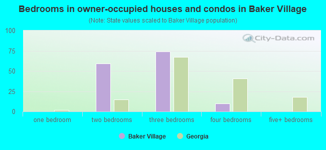 Bedrooms in owner-occupied houses and condos in Baker Village