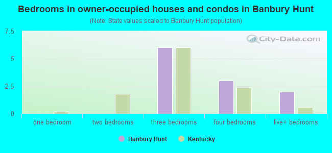 Bedrooms in owner-occupied houses and condos in Banbury Hunt