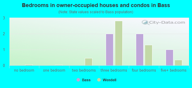 Bedrooms in owner-occupied houses and condos in Bass