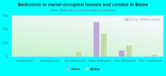 Bedrooms in owner-occupied houses and condos in Bates
