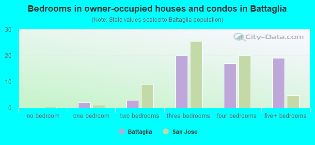 Bedrooms in owner-occupied houses and condos in Battaglia