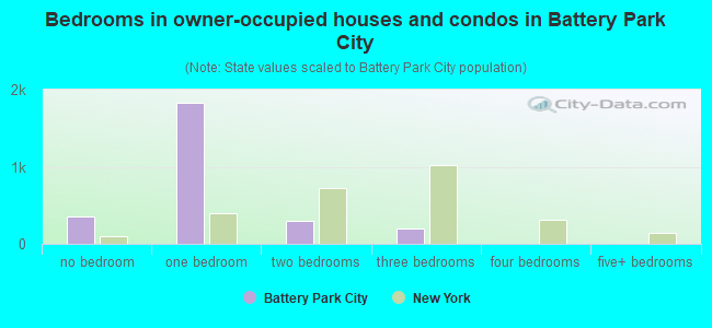 Bedrooms in owner-occupied houses and condos in Battery Park City