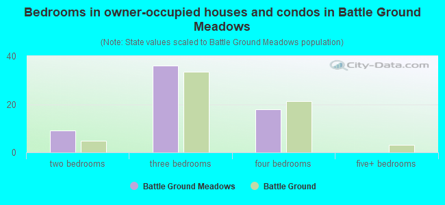 Bedrooms in owner-occupied houses and condos in Battle Ground Meadows