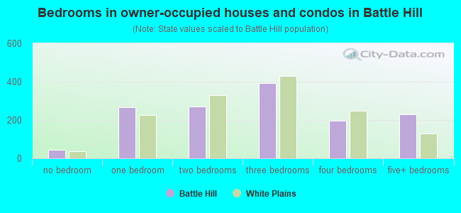 Bedrooms in owner-occupied houses and condos in Battle Hill