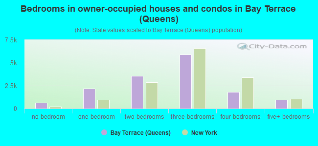 Bedrooms in owner-occupied houses and condos in Bay Terrace (Queens)