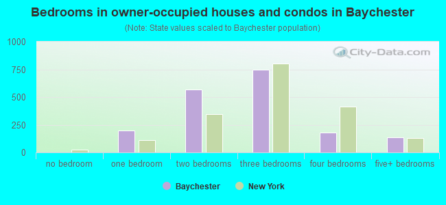 Bedrooms in owner-occupied houses and condos in Baychester