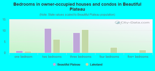 Bedrooms in owner-occupied houses and condos in Beautiful Plateau