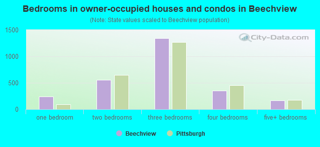Bedrooms in owner-occupied houses and condos in Beechview