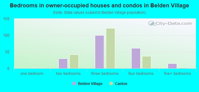 Bedrooms in owner-occupied houses and condos in Belden Village