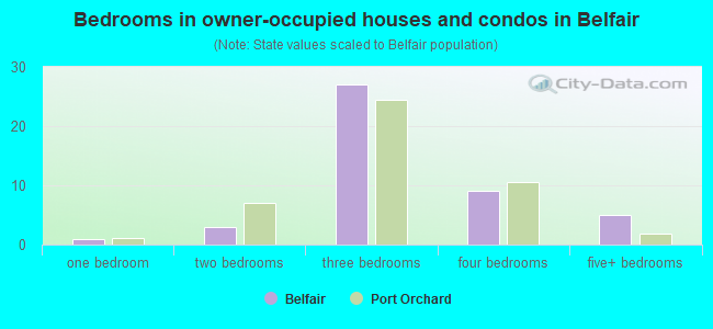 Bedrooms in owner-occupied houses and condos in Belfair
