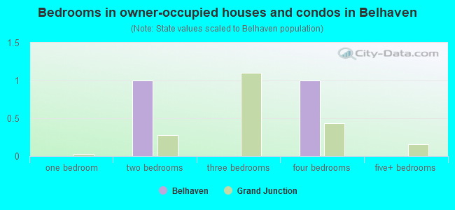 Bedrooms in owner-occupied houses and condos in Belhaven