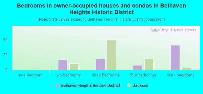 Bedrooms in owner-occupied houses and condos in Belhaven Heights Historic District