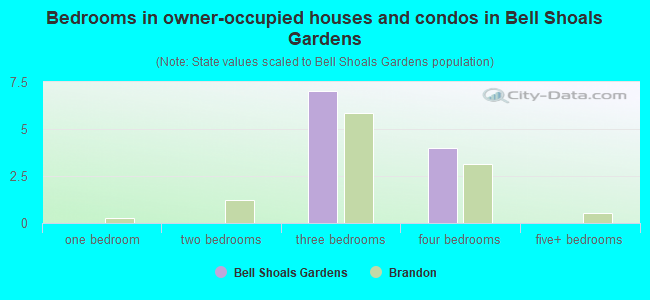 Bedrooms in owner-occupied houses and condos in Bell Shoals Gardens