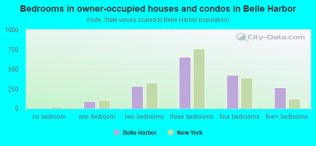 Bedrooms in owner-occupied houses and condos in Belle Harbor