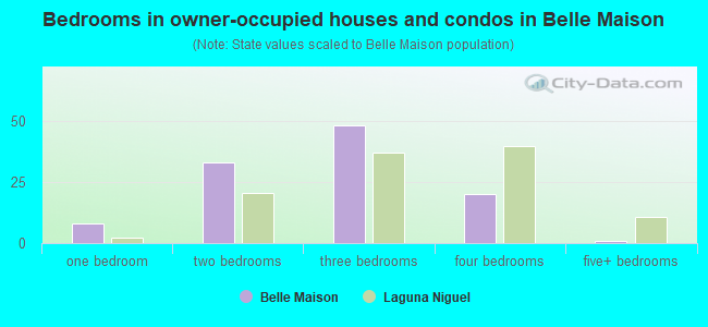 Bedrooms in owner-occupied houses and condos in Belle Maison