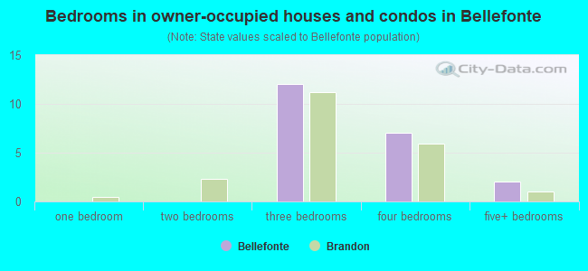 Bedrooms in owner-occupied houses and condos in Bellefonte