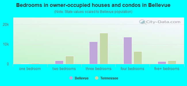 Bedrooms in owner-occupied houses and condos in Bellevue