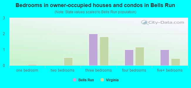 Bedrooms in owner-occupied houses and condos in Bells Run