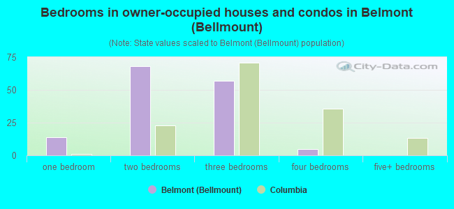 Bedrooms in owner-occupied houses and condos in Belmont (Bellmount)