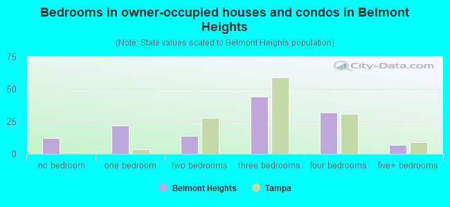 Bedrooms in owner-occupied houses and condos in Belmont Heights