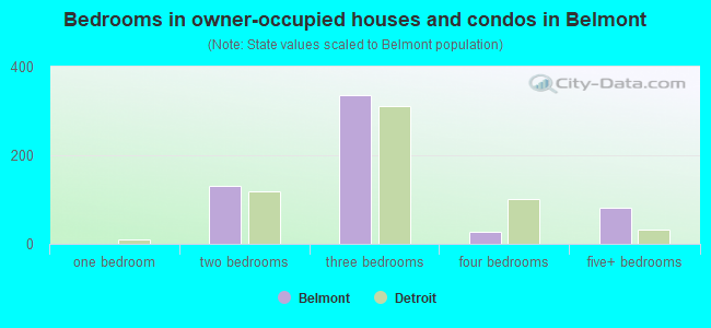 Bedrooms in owner-occupied houses and condos in Belmont
