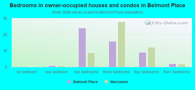 Bedrooms in owner-occupied houses and condos in Belmont Place