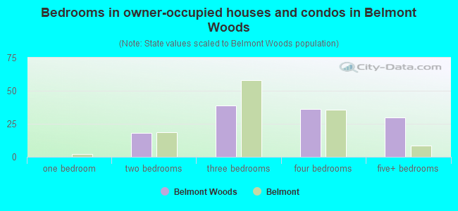 Bedrooms in owner-occupied houses and condos in Belmont Woods