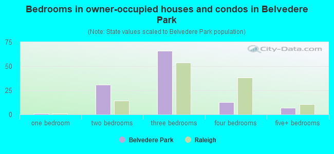 Bedrooms in owner-occupied houses and condos in Belvedere Park