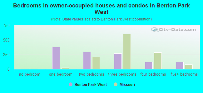 Bedrooms in owner-occupied houses and condos in Benton Park West