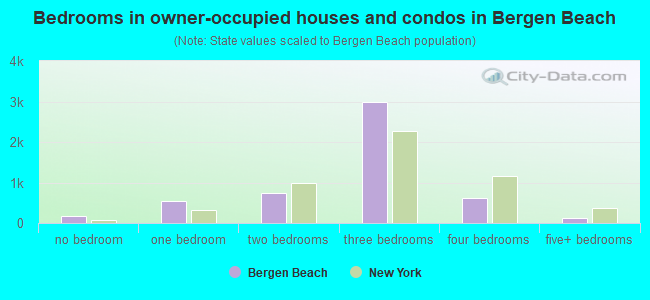 Bedrooms in owner-occupied houses and condos in Bergen Beach