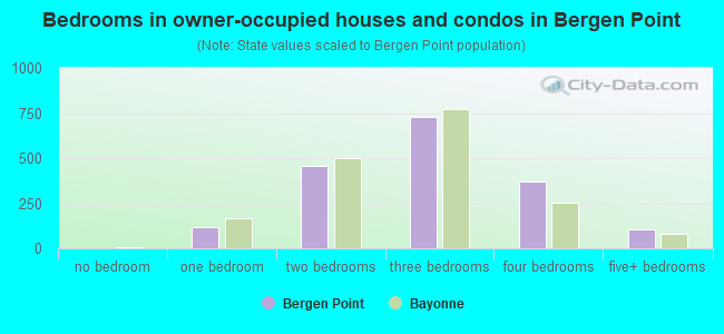 Bedrooms in owner-occupied houses and condos in Bergen Point