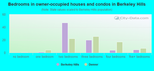 Bedrooms in owner-occupied houses and condos in Berkeley Hills