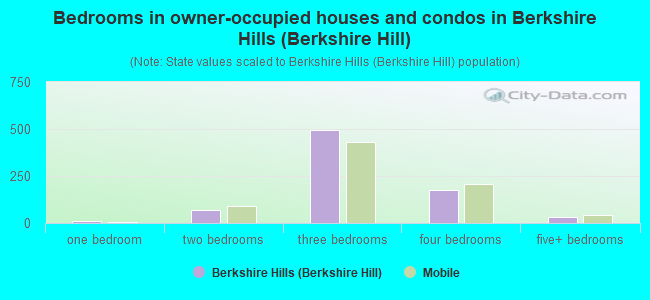 Bedrooms in owner-occupied houses and condos in Berkshire Hills (Berkshire Hill)