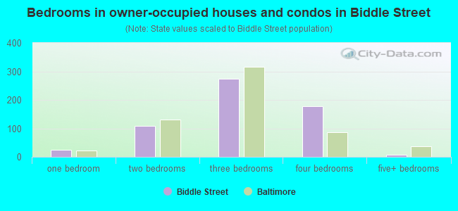 Bedrooms in owner-occupied houses and condos in Biddle Street