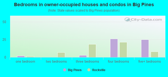 Bedrooms in owner-occupied houses and condos in Big Pines