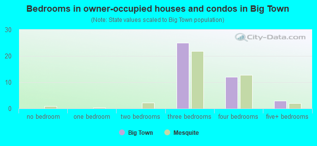Bedrooms in owner-occupied houses and condos in Big Town