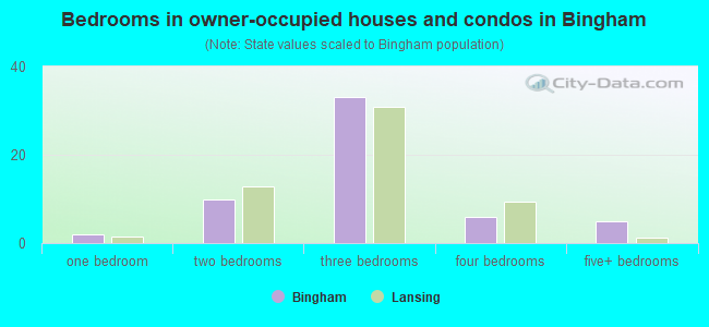 Bedrooms in owner-occupied houses and condos in Bingham
