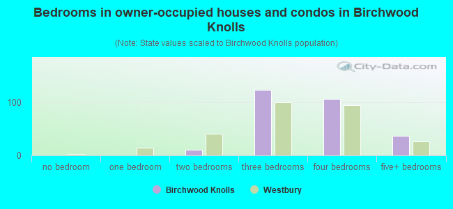 Bedrooms in owner-occupied houses and condos in Birchwood Knolls