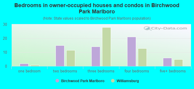 Bedrooms in owner-occupied houses and condos in Birchwood Park  Marlboro