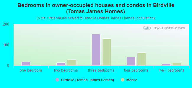 Bedrooms in owner-occupied houses and condos in Birdville (Tomas James Homes)