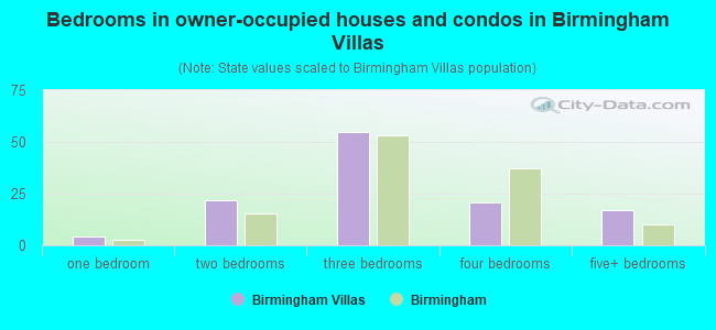 Bedrooms in owner-occupied houses and condos in Birmingham Villas