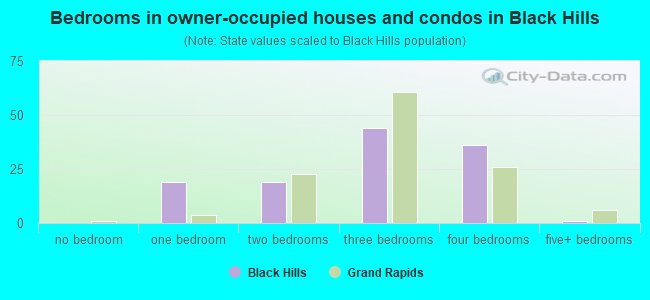 Bedrooms in owner-occupied houses and condos in Black Hills