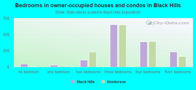 Bedrooms in owner-occupied houses and condos in Black Hills
