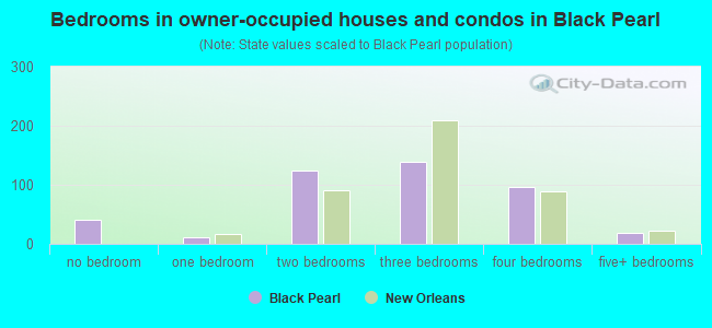 Bedrooms in owner-occupied houses and condos in Black Pearl